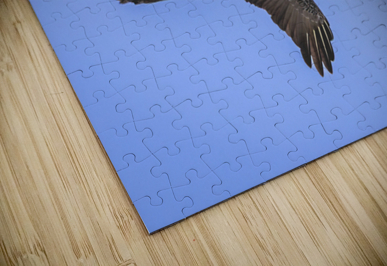 Store Dania Beach AE2A8905 Tono Chavez Puzzle