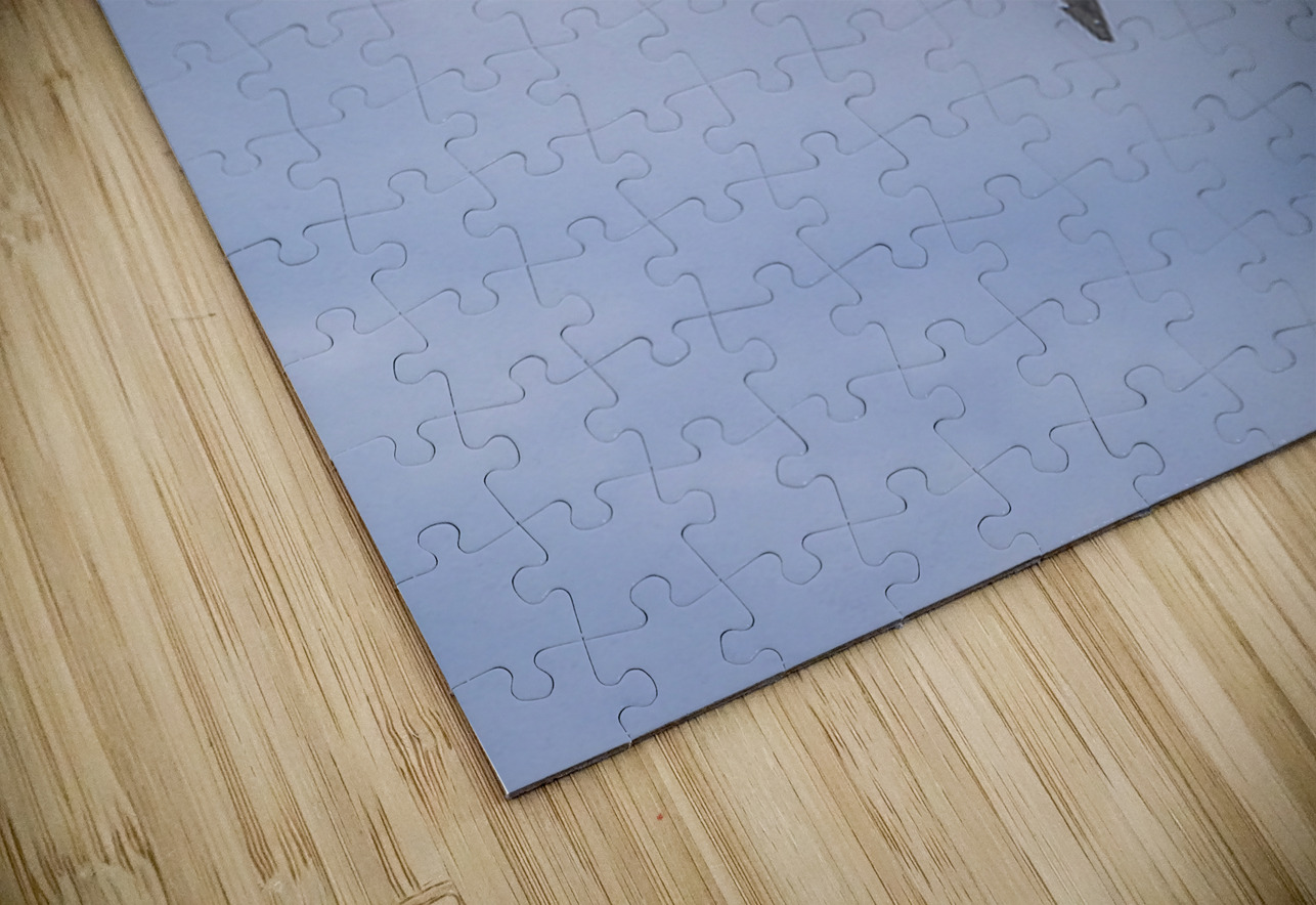 Store FLLAirShow AE2A4043 Tono Chavez Puzzle