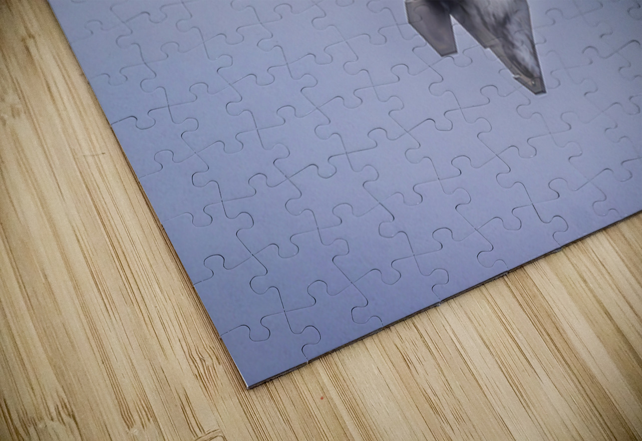 Store FLLAirShow AE2A4054 Tono Chavez Puzzle