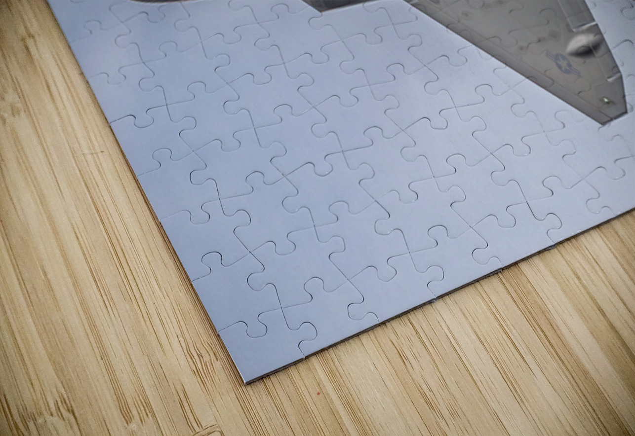 Store FLLAirShow AE2A4018 Tono Chavez Puzzle