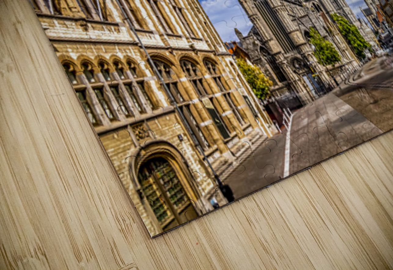 Belgium E2A9062 Color Tono Chavez Puzzle