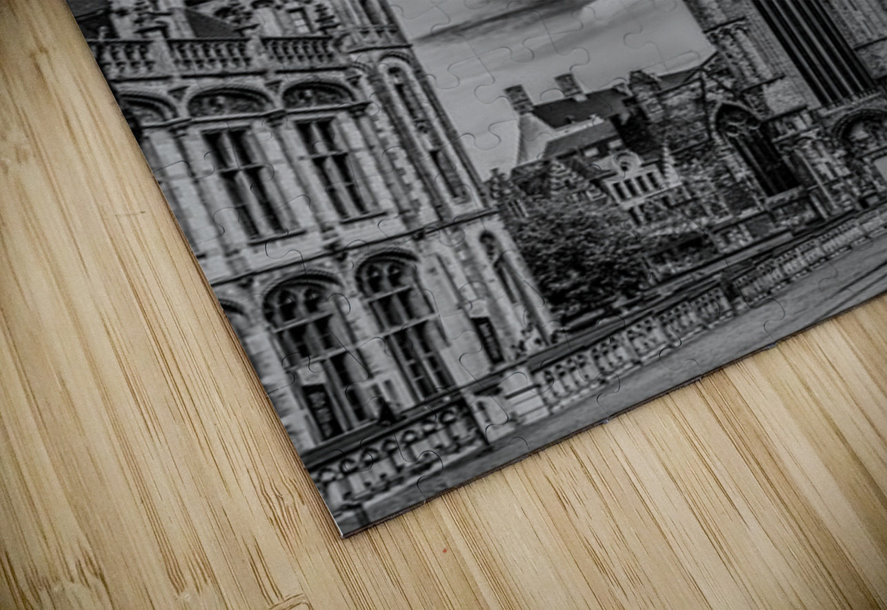 Belgium E2A9071 Tono Chavez Puzzle