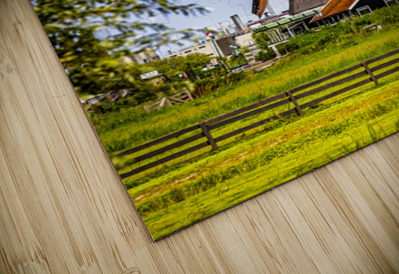 Holland E2A0159 Tono Chavez Puzzle