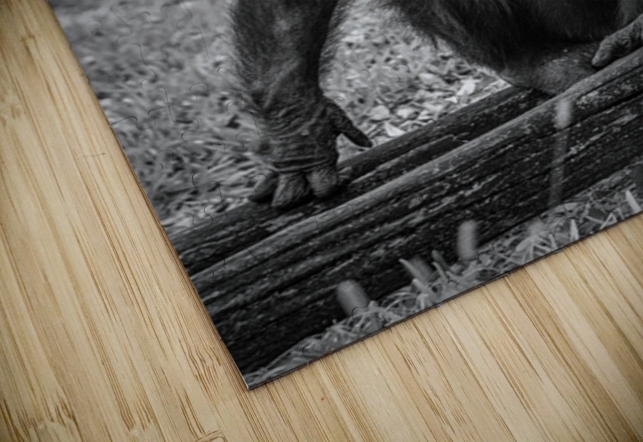 Wildlife 5 Tono Chavez Puzzle