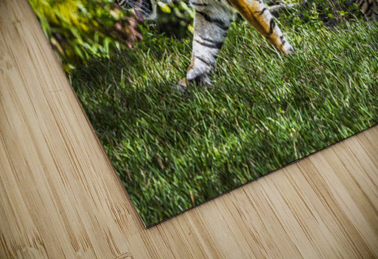 Wildlife 4 Tono Chavez Puzzle