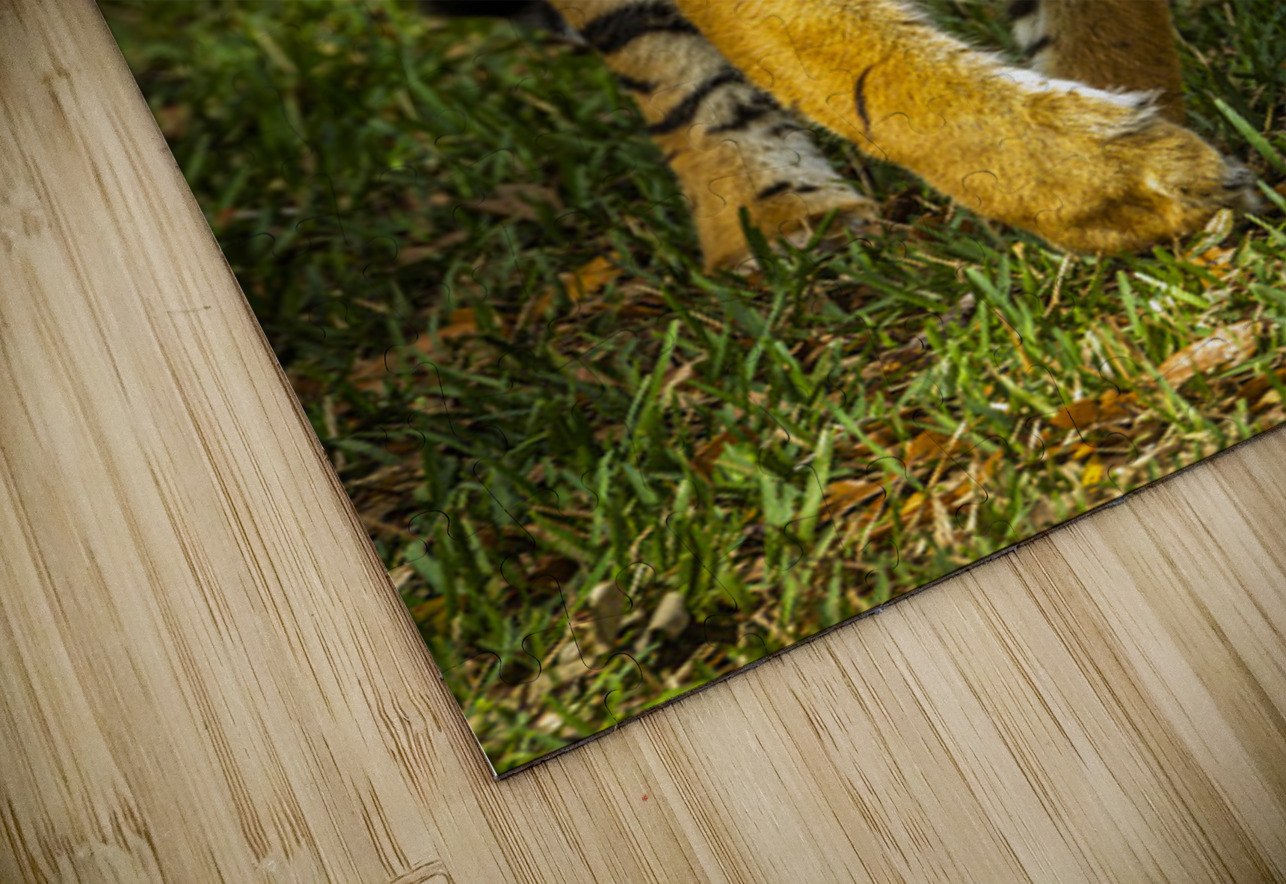 Wildlife 3 Tono Chavez Puzzle