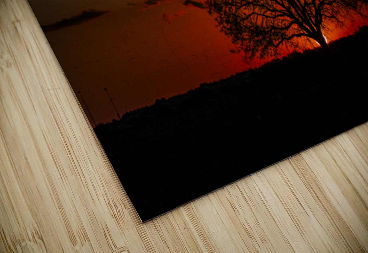 Vista View MG 7330 Tono Chavez Puzzle