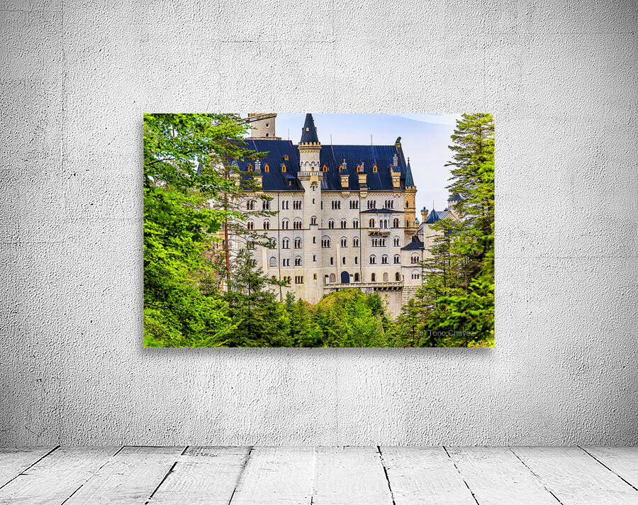 Munich Neuschwanstein Castle 2 Wall Preview