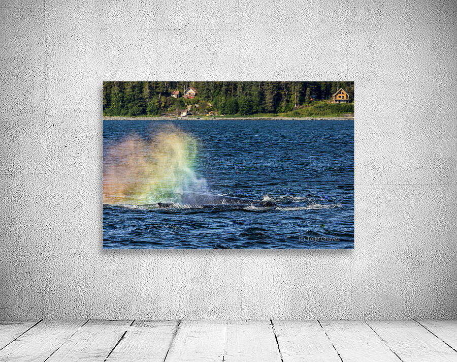 Store Alaska5L3A7628 Wall Preview