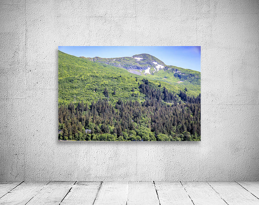 Store Alaska5L3A7439 Wall Preview