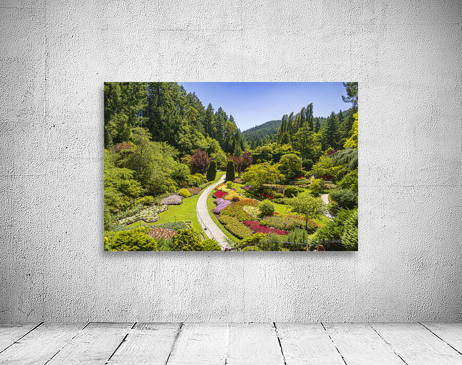 Store Victoria 5L3A8505 Wall Preview