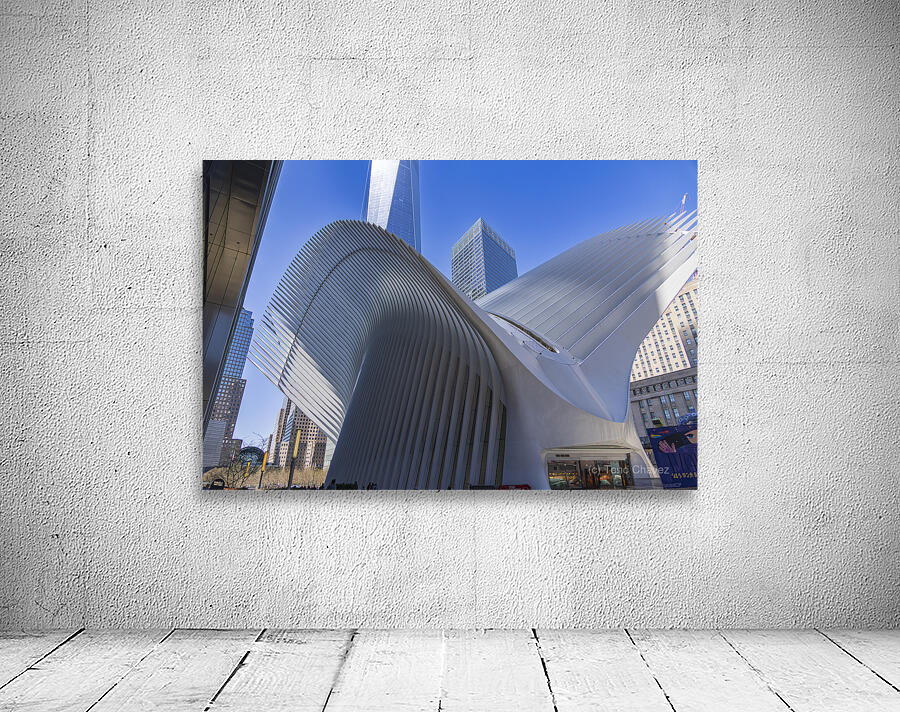 Store New York 5L3A0359 Wall Preview