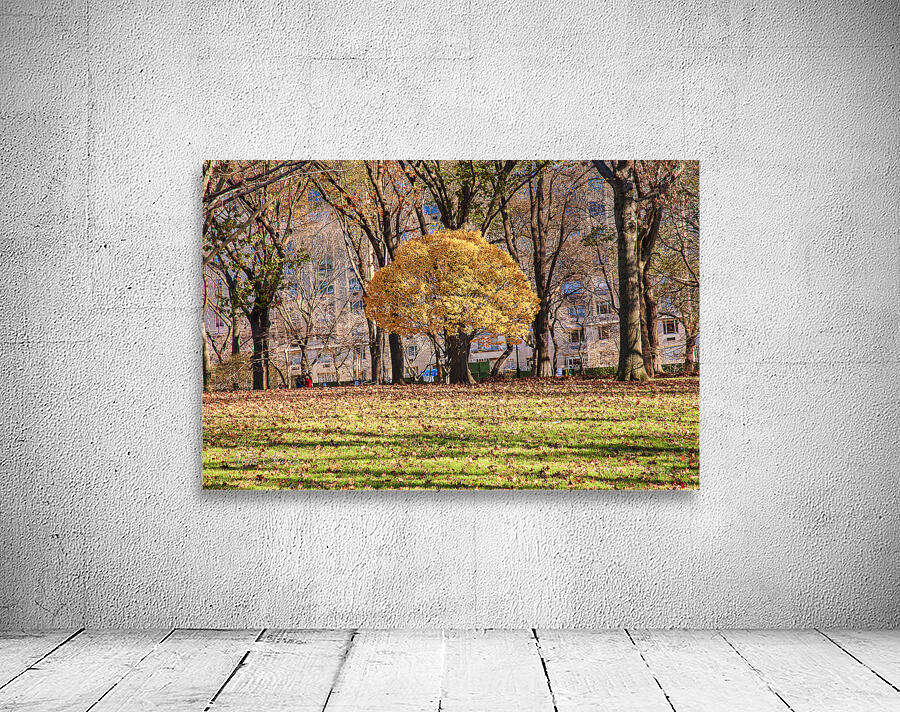 Store New York DSC 4114 Wall Preview