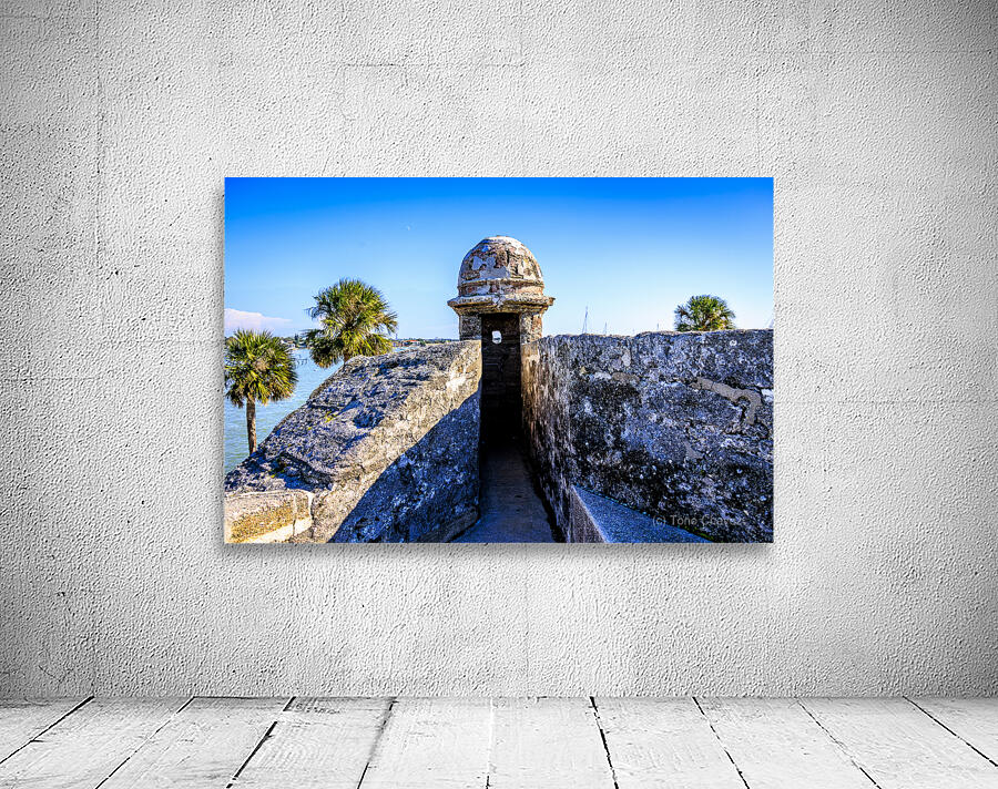 Store Florida 5L3A9392 Wall Preview