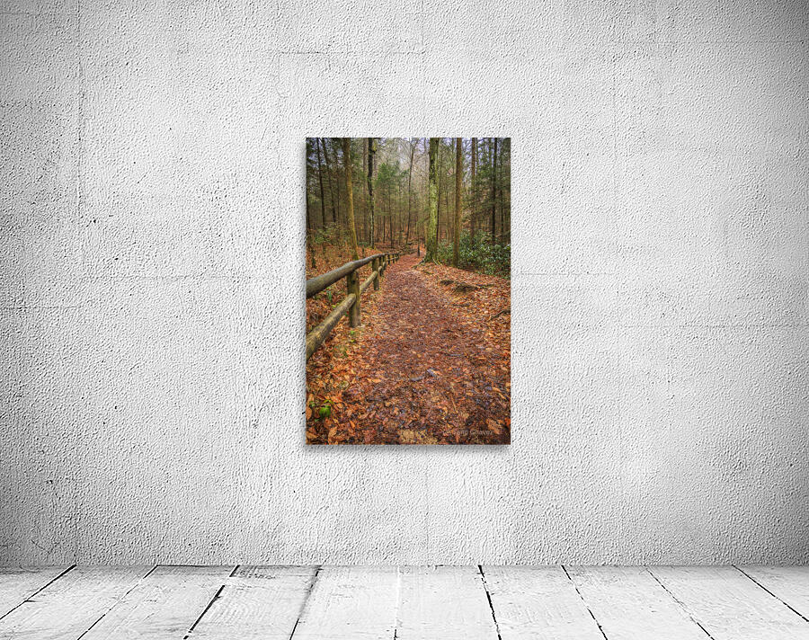 Store Georgia 5L3A5708 Wall Preview