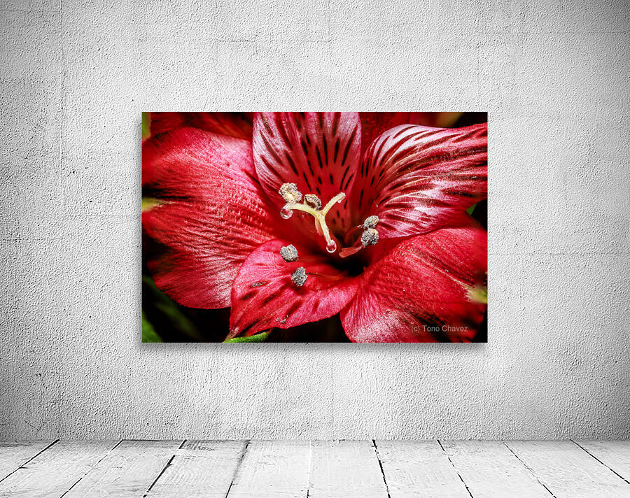 Store Macro 5L3A3569 Wall Preview