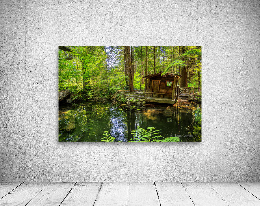 Store Vancouver 5L3A6820 Wall Preview