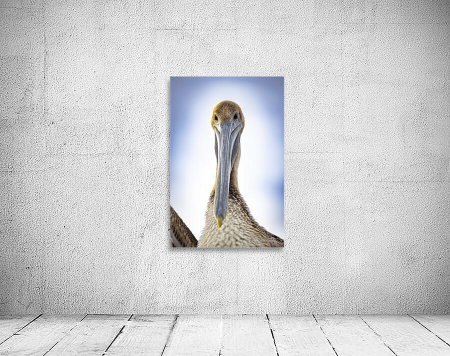 Store Dania Beach AE2A8738 Wall Preview