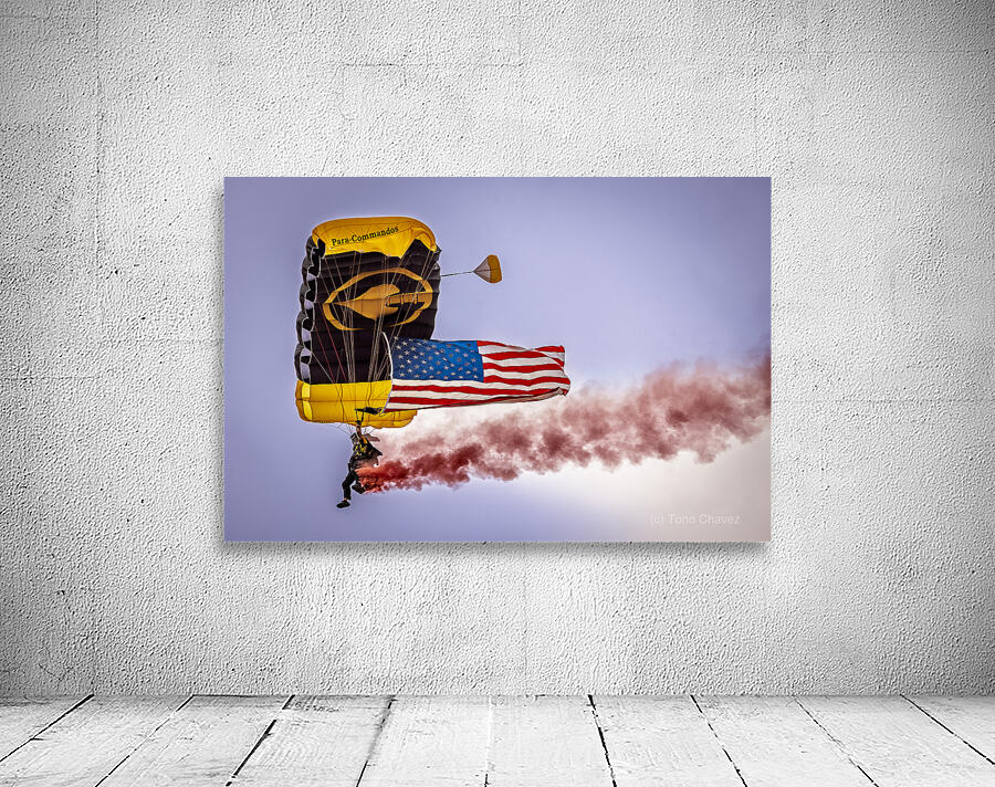 Store FLLAirShow AE2A2796 Wall Preview