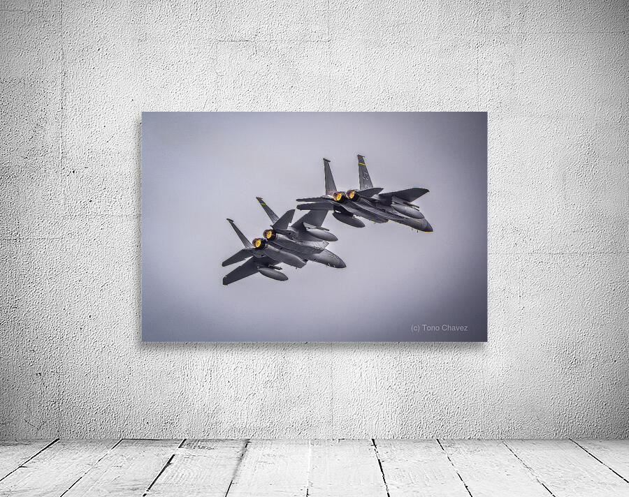 Store FLLAirShow AE2A3078 Wall Preview