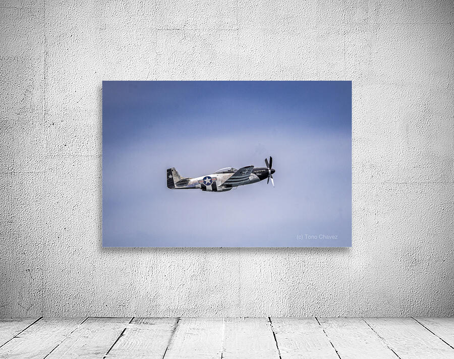 Store FLLAirShow AE2A3758 Wall Preview