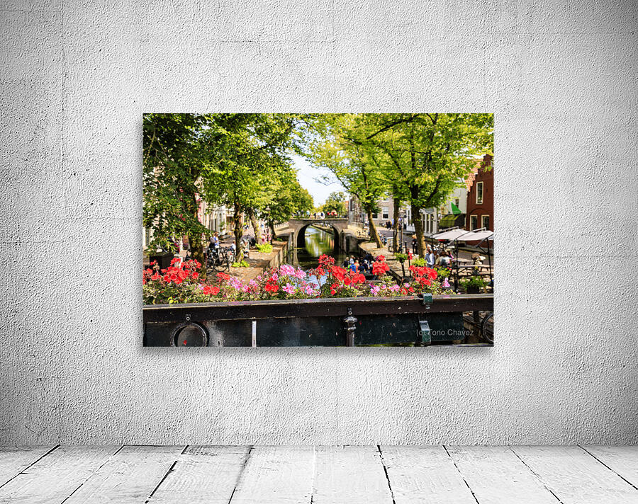 HollandAE2A9823 Wall Preview