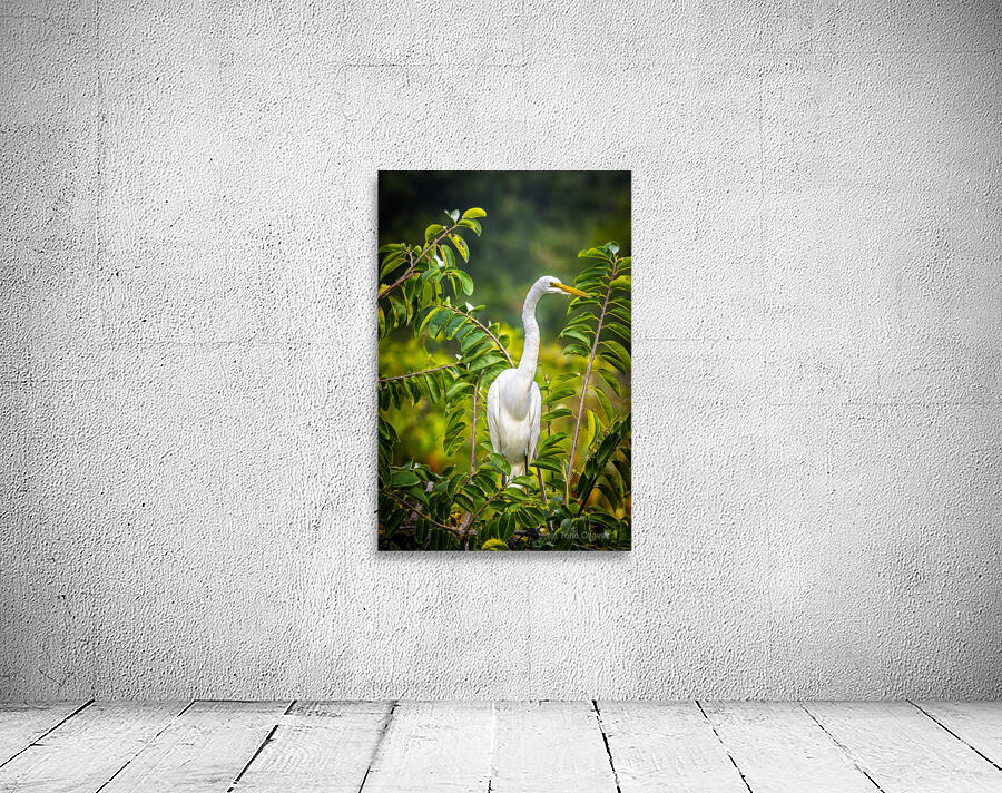 Wildlife 2 Wall Preview