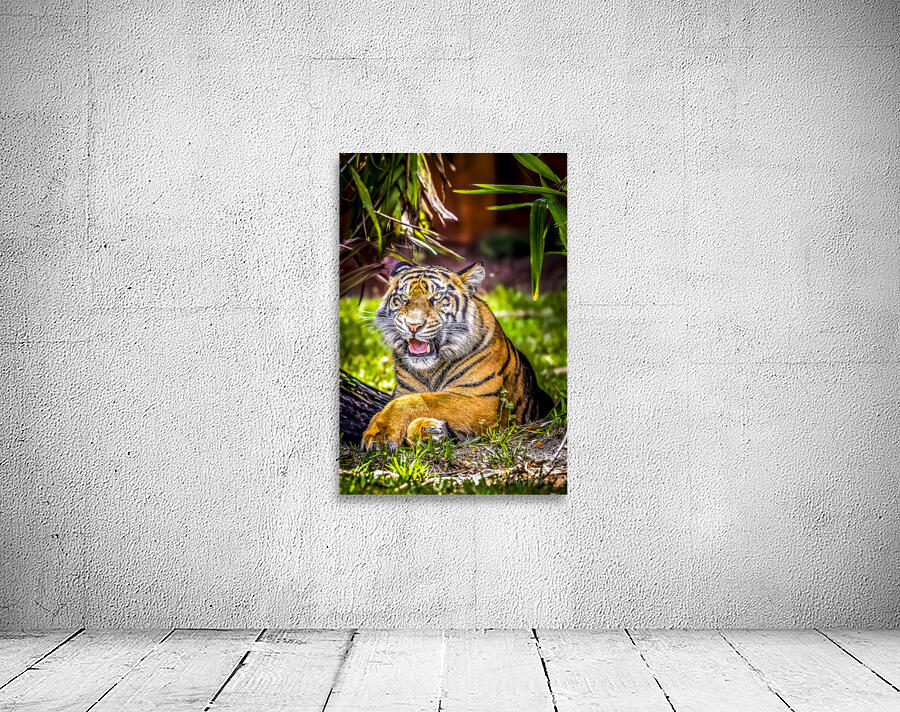 Wildlife 8 Wall Preview