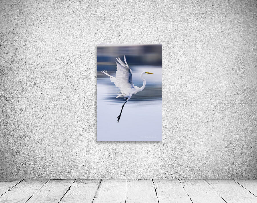 Wildlife 1 Wall Preview