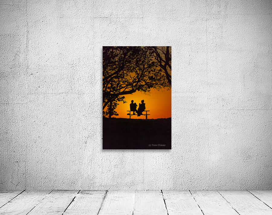 Vista View MG 7315 Wall Preview