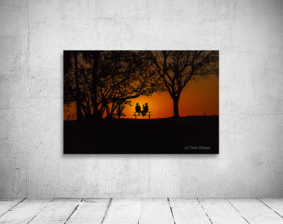 Vista View MG 7321 Wall Preview