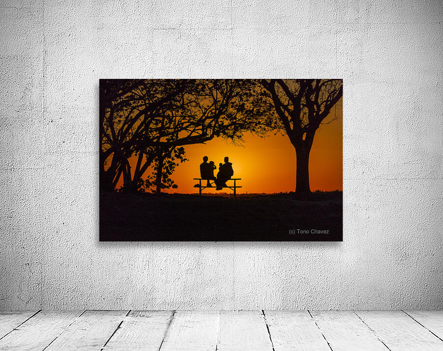 Vista View MG 7311 Wall Preview