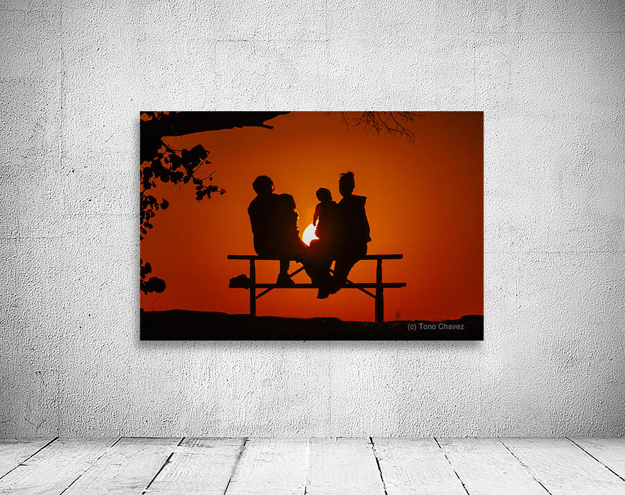 Vista View MG 7324 Wall Preview