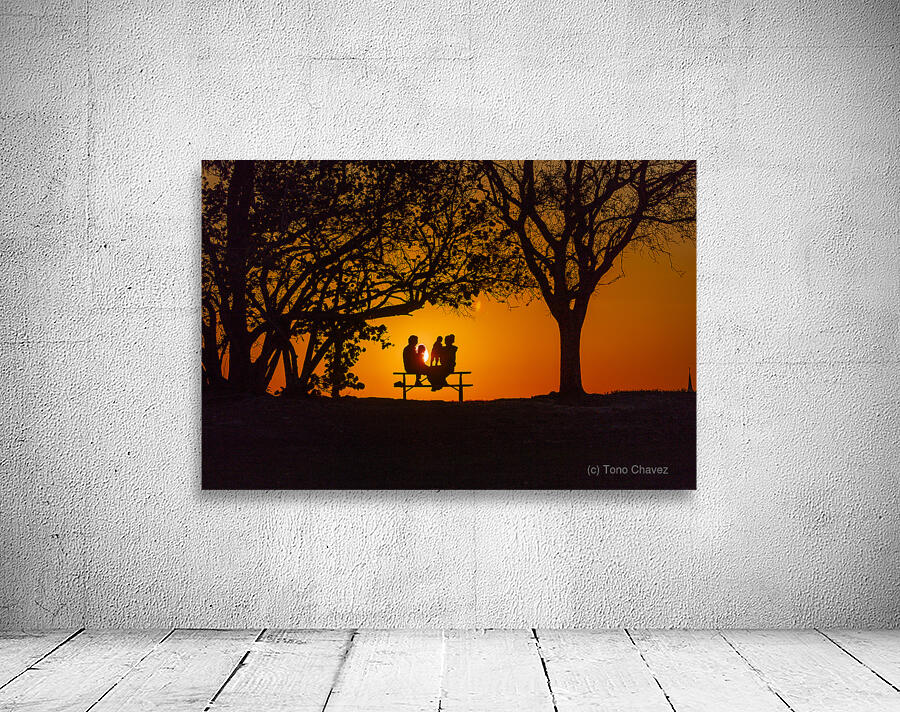 Vista View MG 7317 Wall Preview