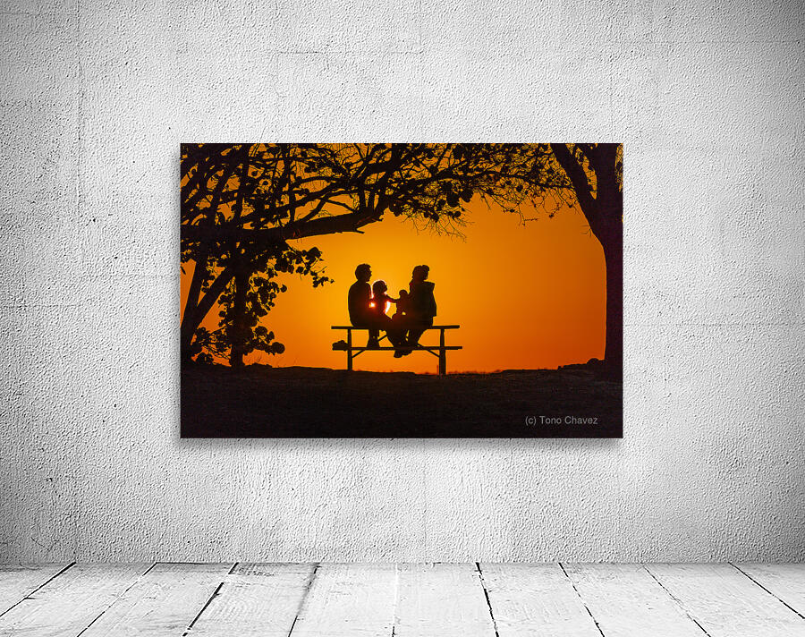 Vista View MG 7320 Wall Preview