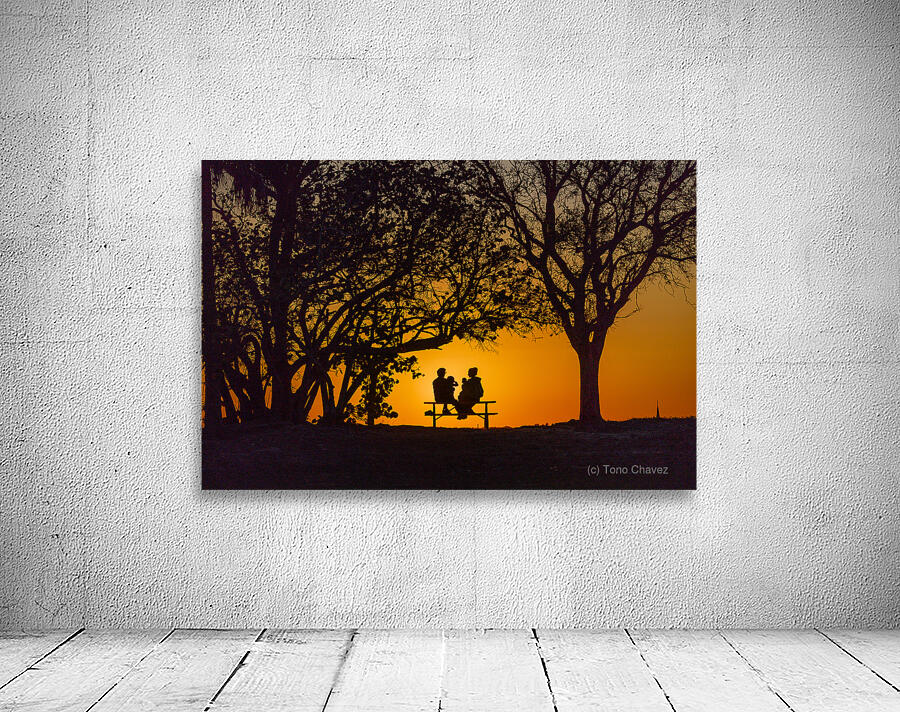 Vista View MG 7313 Wall Preview