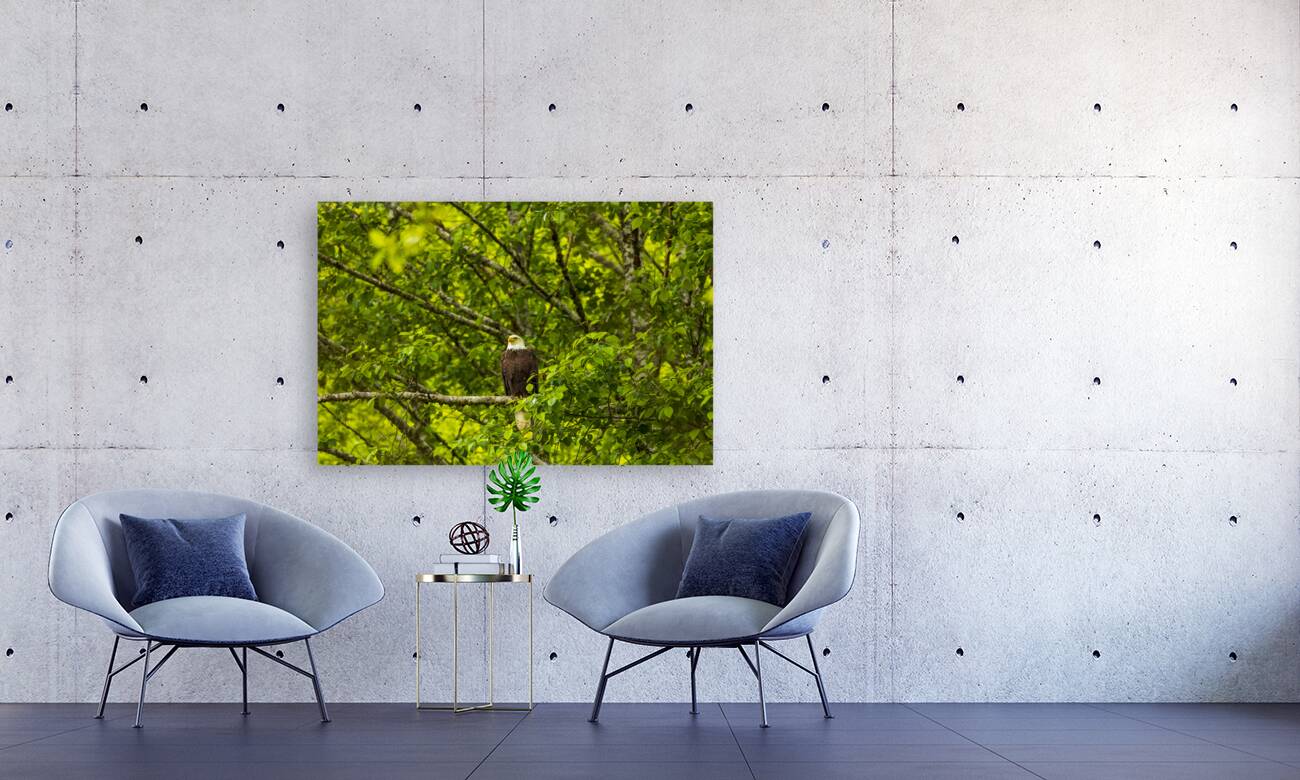 Store Alaska5L3A8325 Reproduction