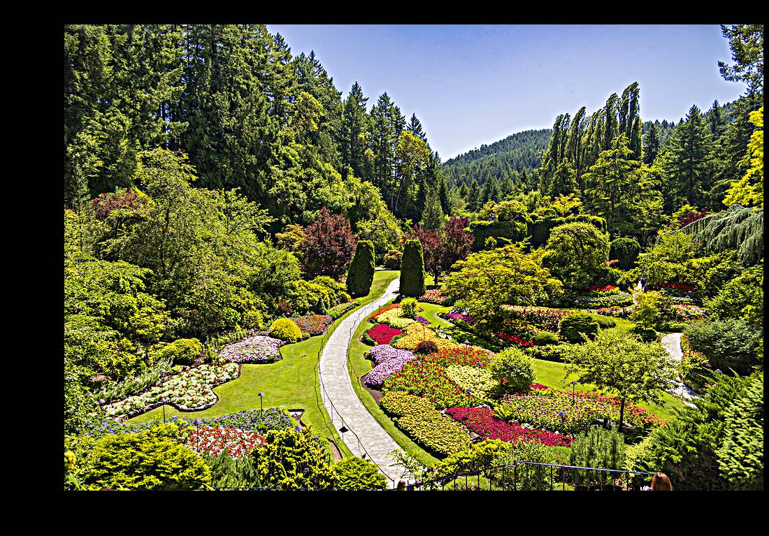 Store Victoria 5L3A8505 Reproduction