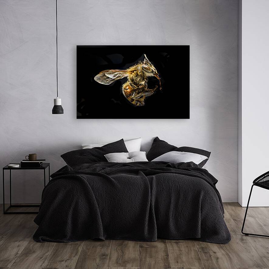 Store Macro 5L3A2775 Reproduction