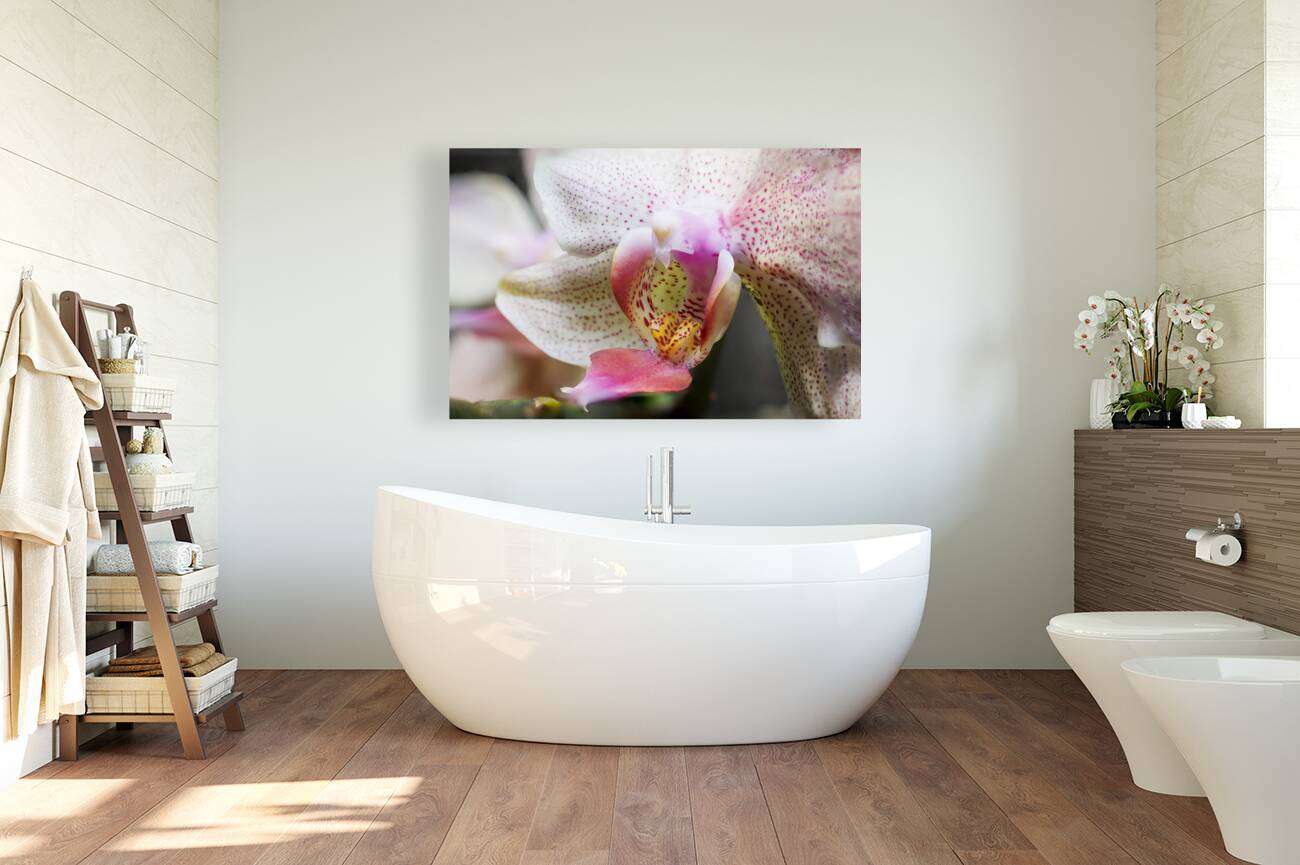 Store Macro 5L3A3626 Reproduction