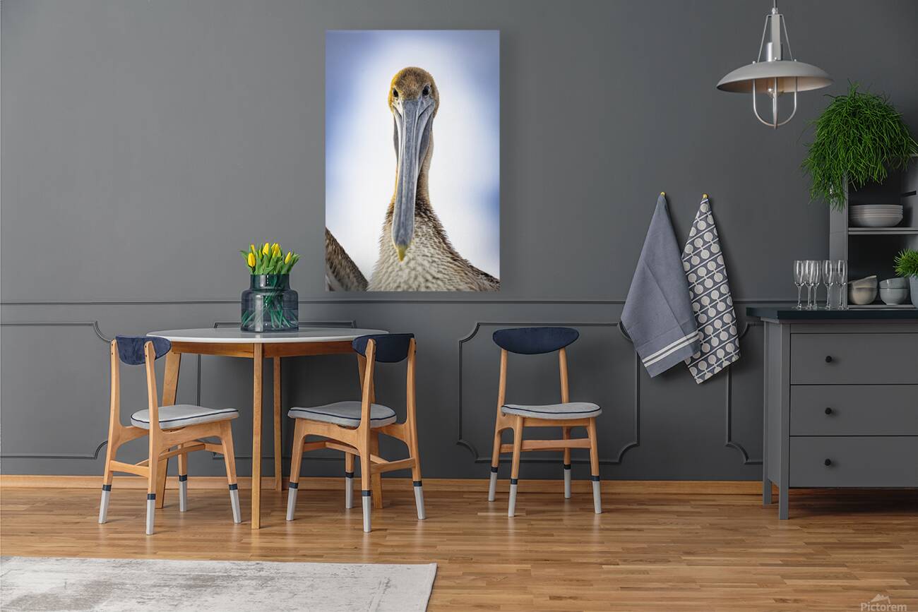 Store Dania Beach AE2A8738 Reproduction