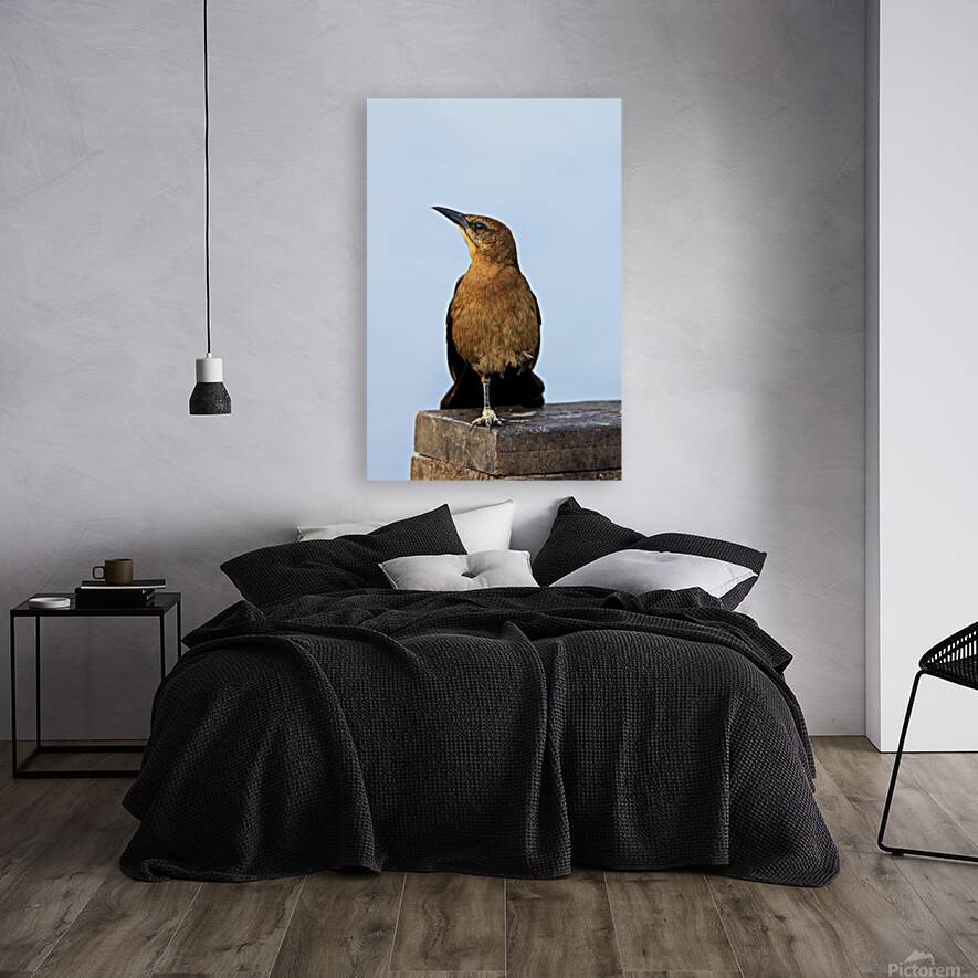 Store Dania Beach AE2A8779 Reproduction