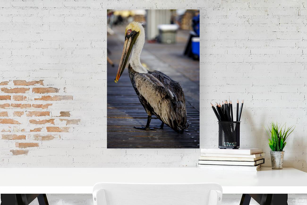 Store Dania Beach AE2A8718 Reproduction