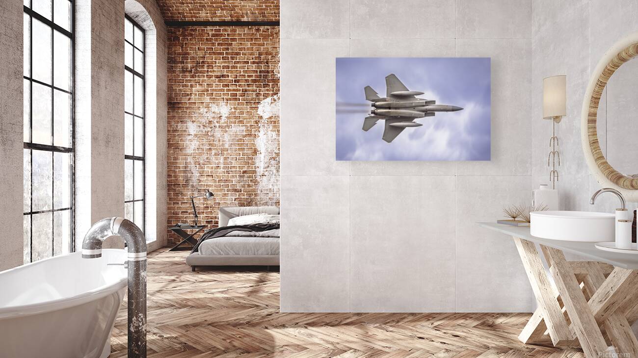 AirShow F15 AE2A2851 Reproduction