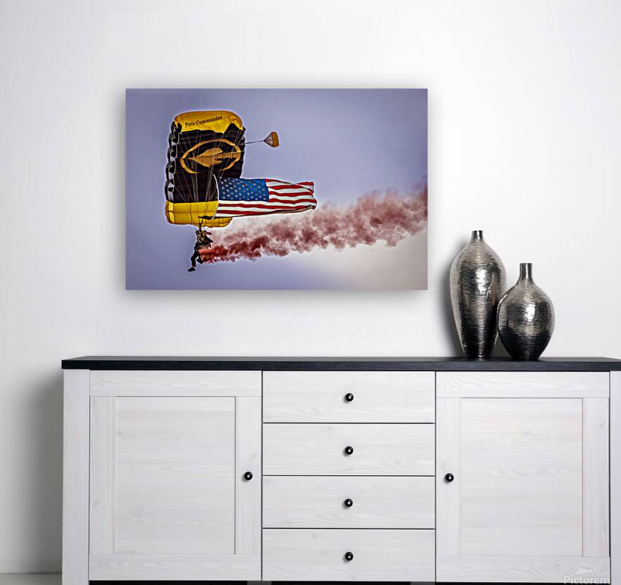 Store FLLAirShow AE2A2796 Reproduction