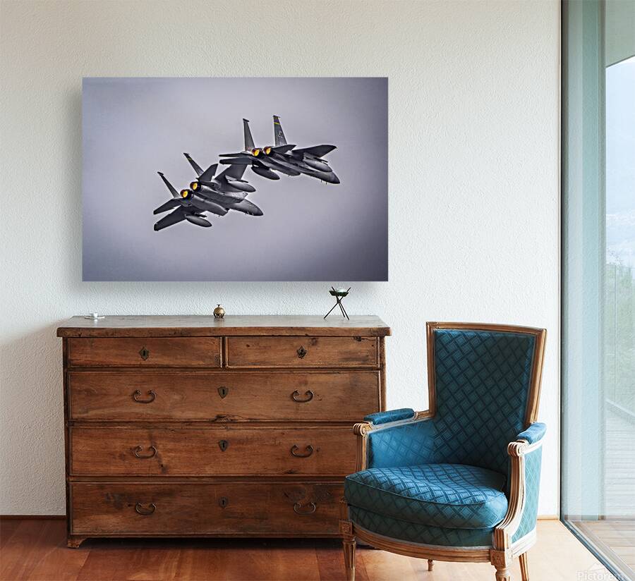 Store FLLAirShow AE2A3078 Reproduction