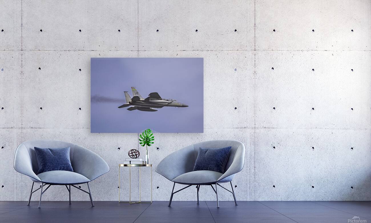 Store FLLAirShow AE2A2948 Reproduction