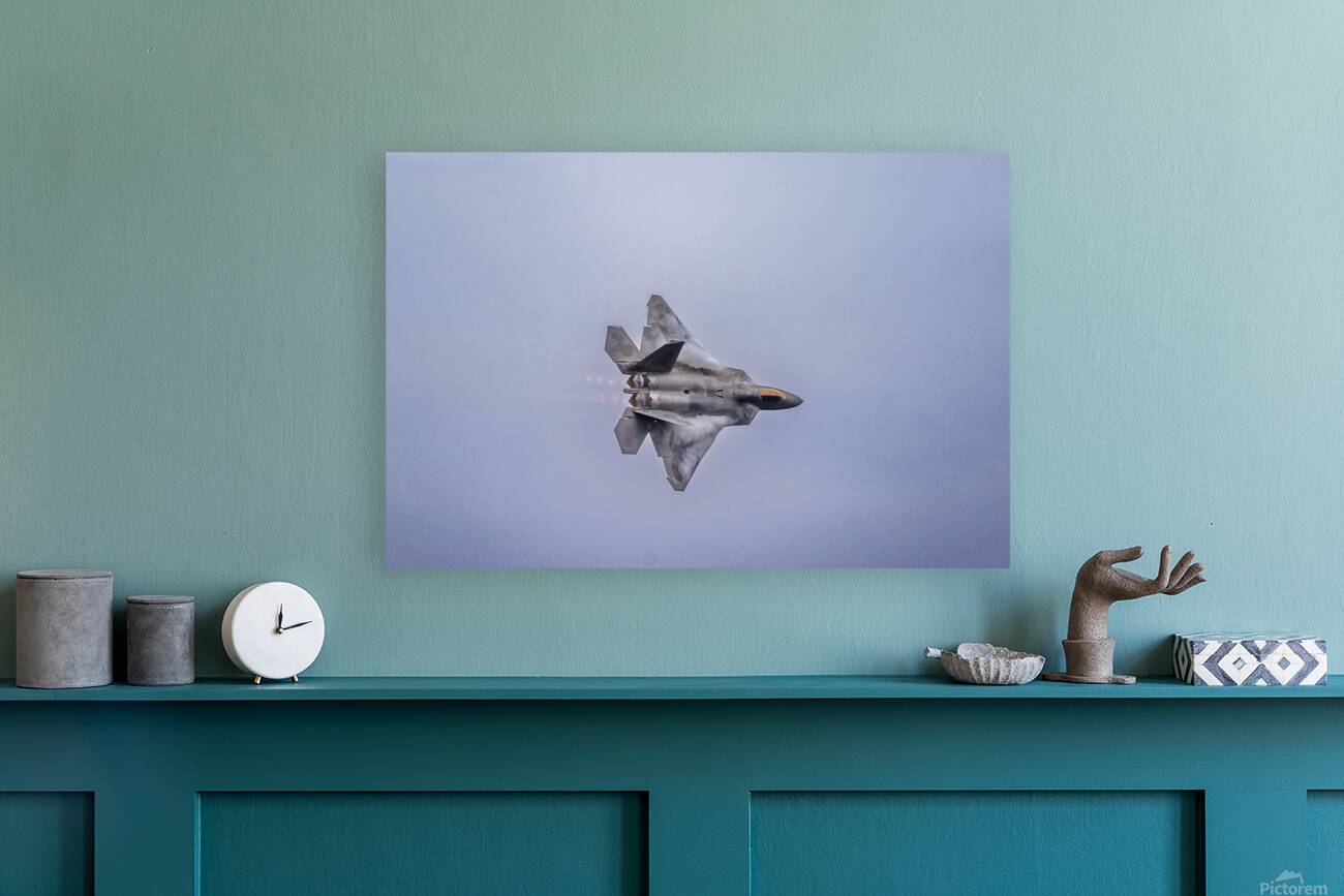 Store FLLAirShow AE2A4054 Reproduction