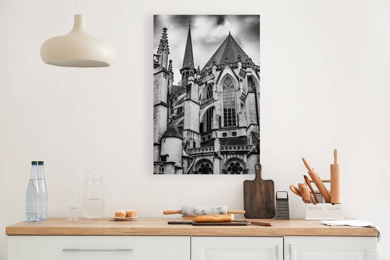 BelgiumAE2A8770 Reproduction