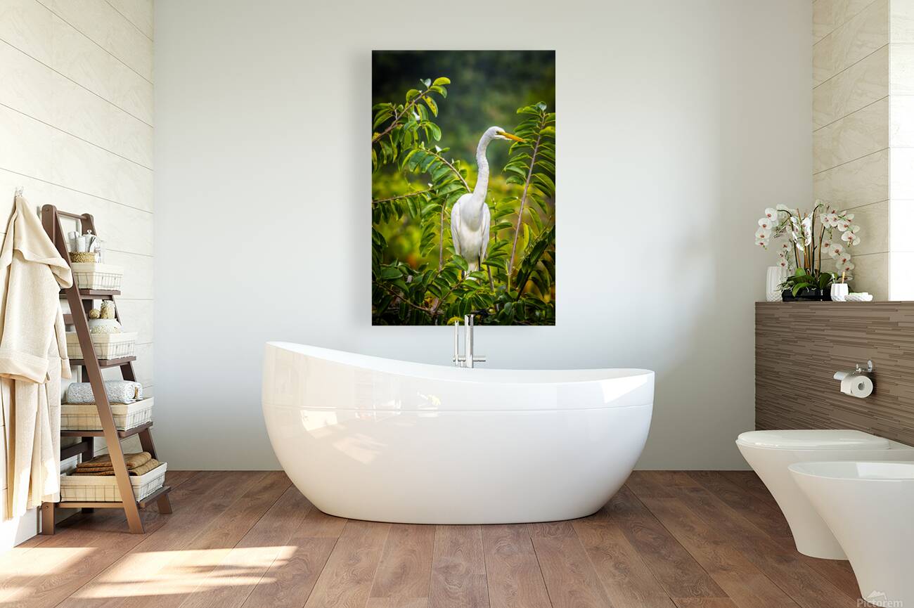 Wildlife 2 Reproduction